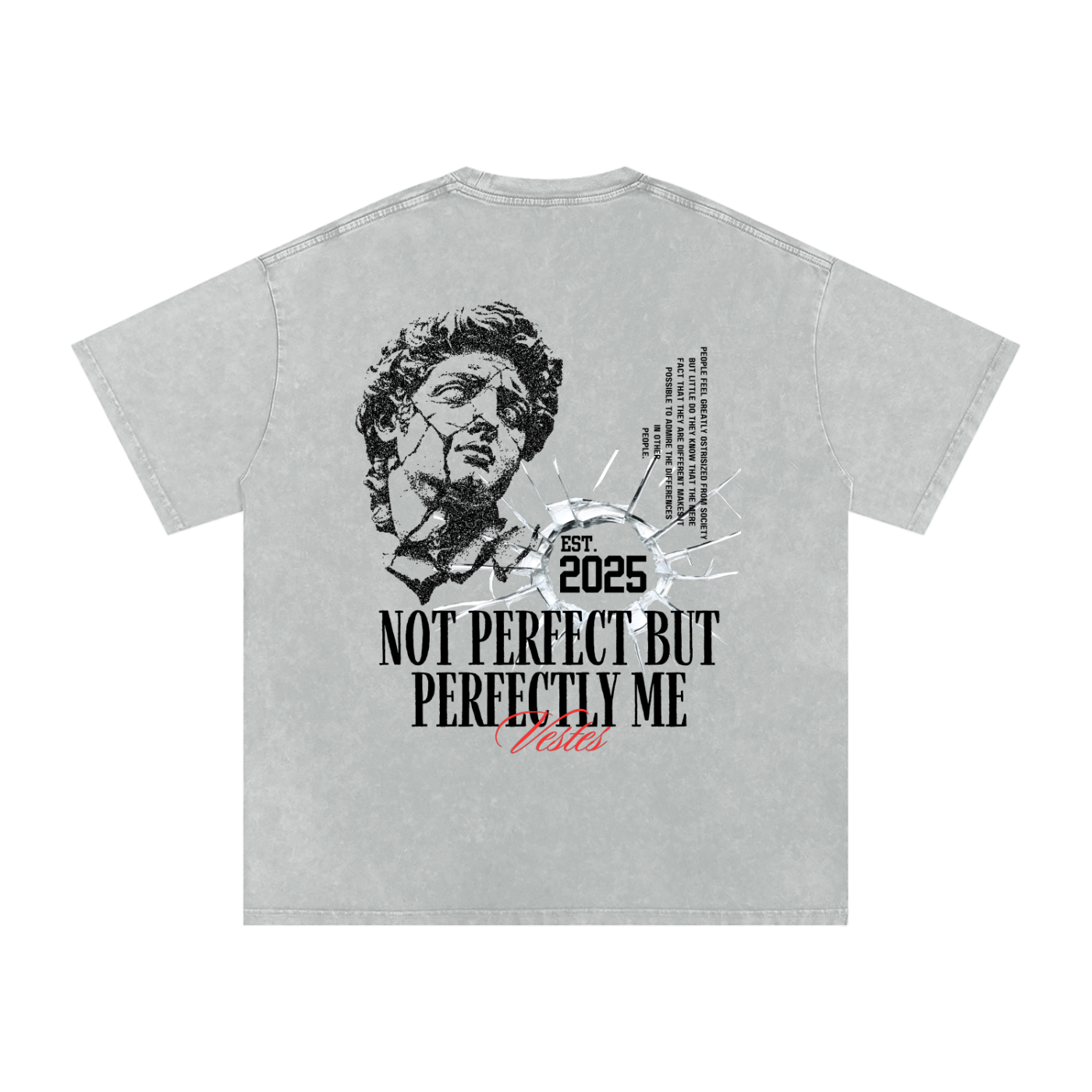 Perfectly Not Perfect Oversized Cotton T-Shirt