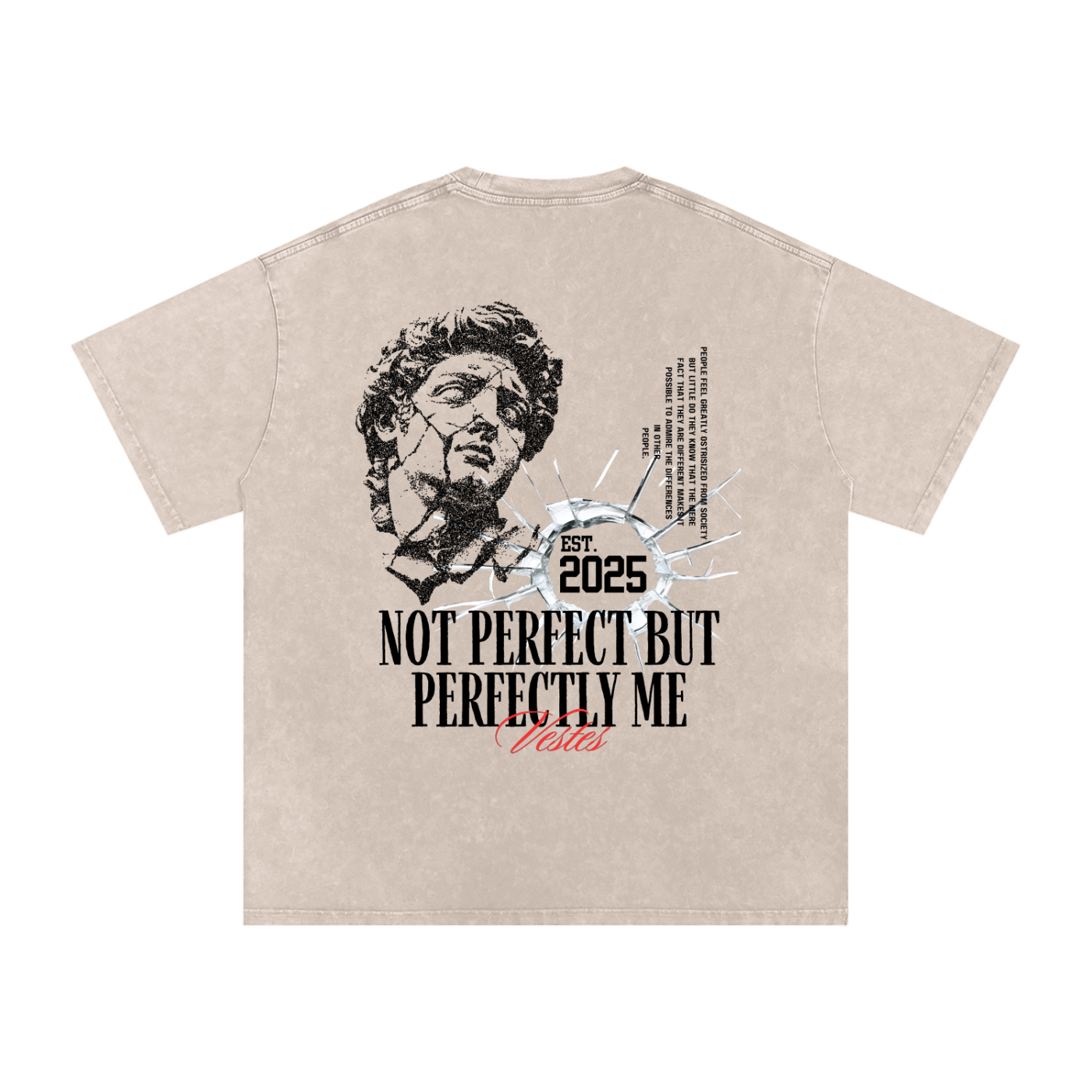 Perfectly Not Perfect Oversized Cotton T-Shirt