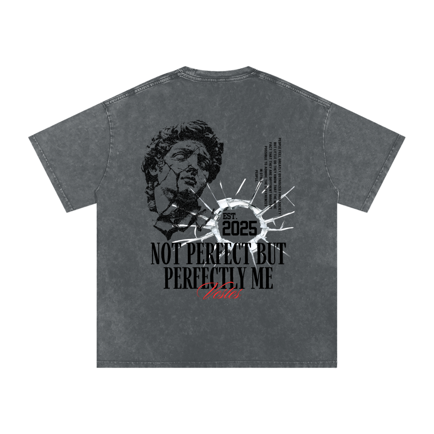 Perfectly Not Perfect Oversized Cotton T-Shirt